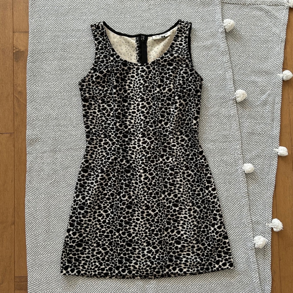 Le Château⎪Vintage Leopard Fur Dress